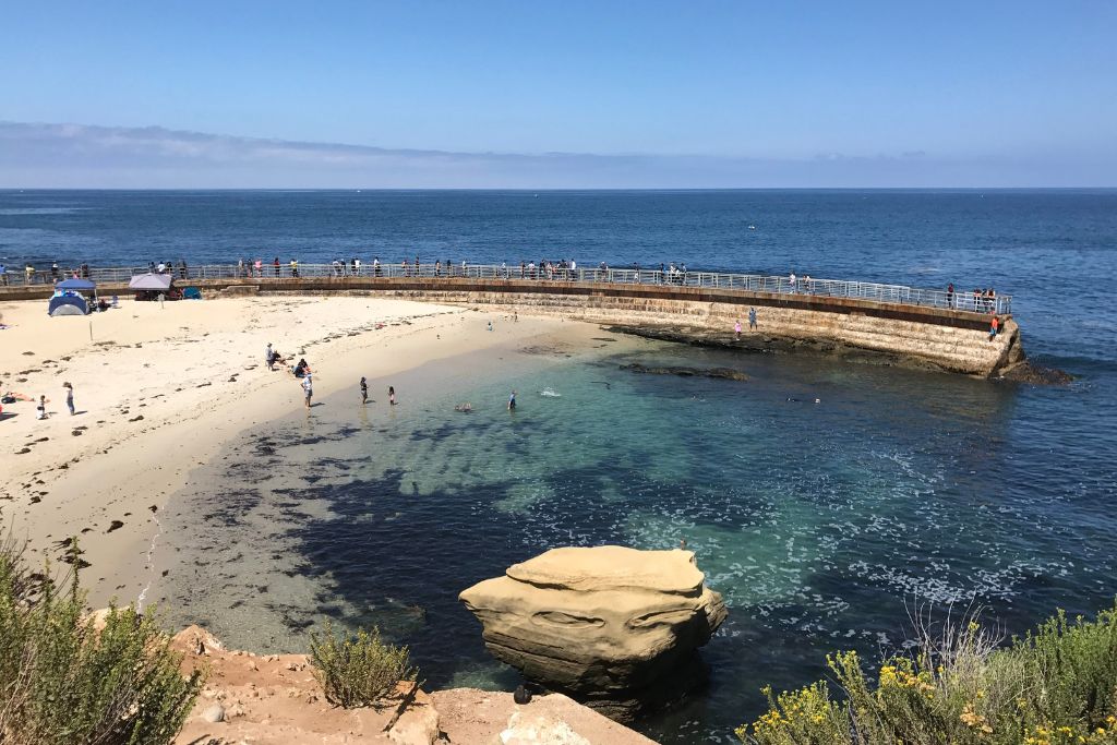  Cove and Children Pool