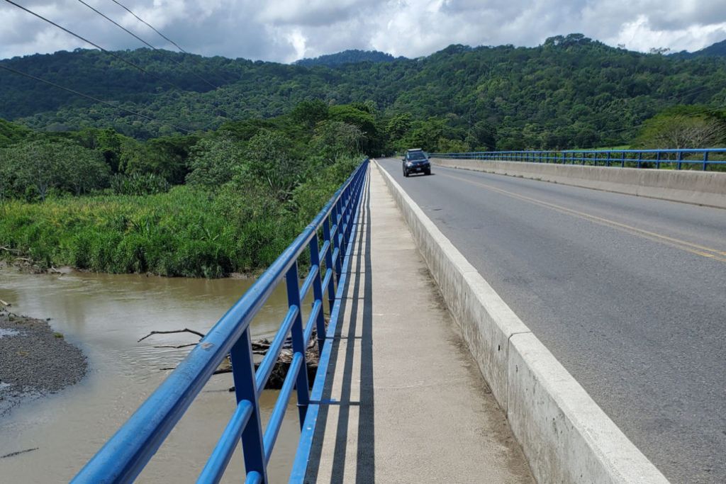 Crocodile Bridge 