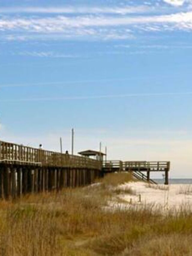 Things to Do in Dauphin Island