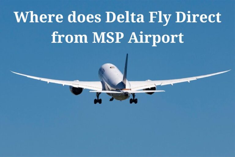 Where does Delta Fly Direct from MSP Airport? Minneapolis Airport