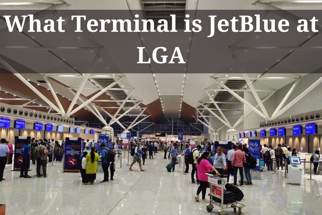 What Terminal is JetBlue at LGA